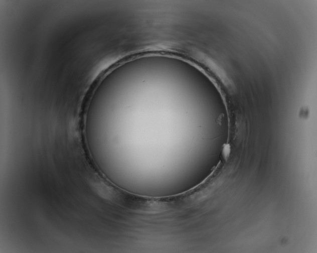 X0000103491308200809121704