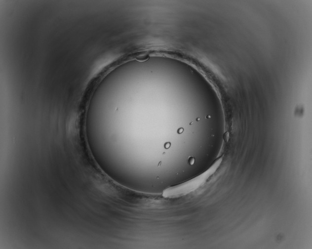 X0000103491309200809121704