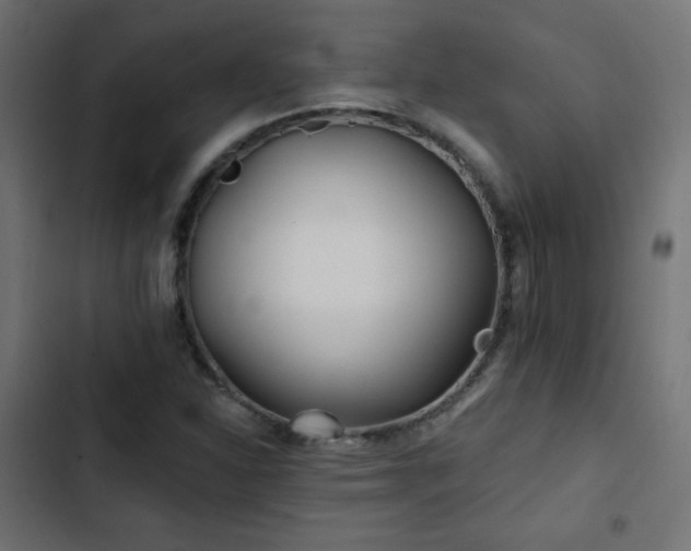 X0000103491310200809121704