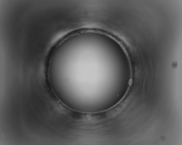 X0000103491311200809121704