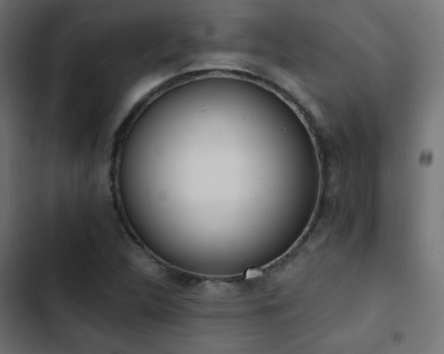 X0000103491312200809121705