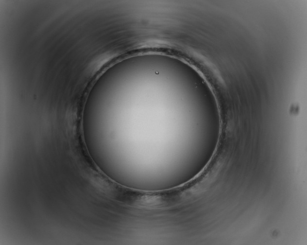 X0000103491313200809121705