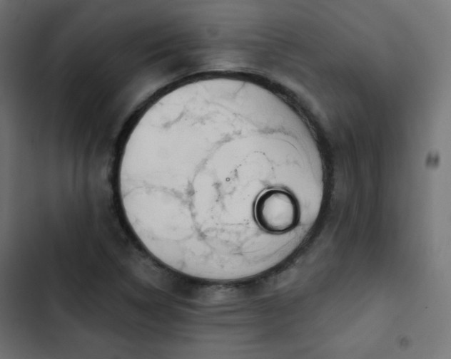 X0000103491314200809121705