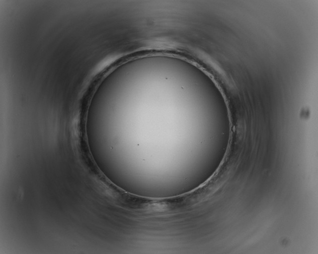 X0000103491315200809121705