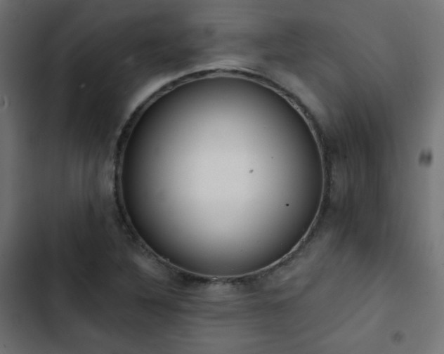 X0000103491316200809121705