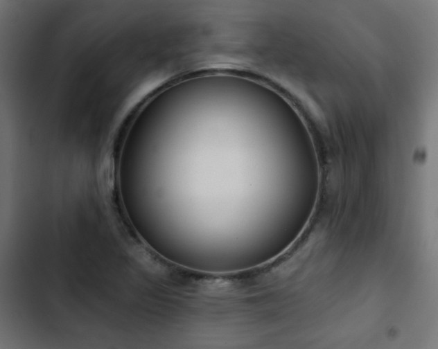 X0000103491317200809121705