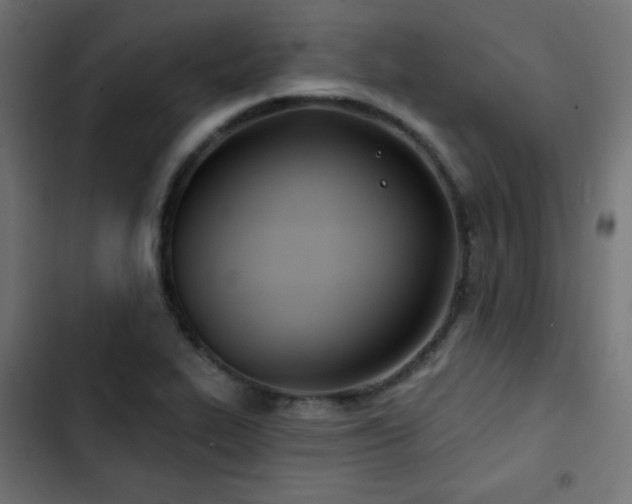 X0000103491319200809121705