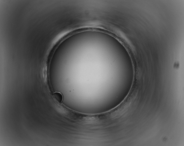 X0000103491320200809121705