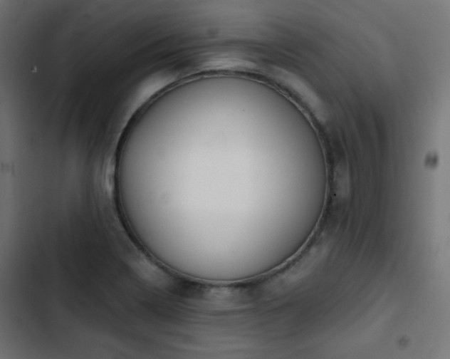 X0000103491322200809121705