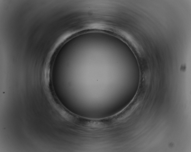 X0000103491323200809121705