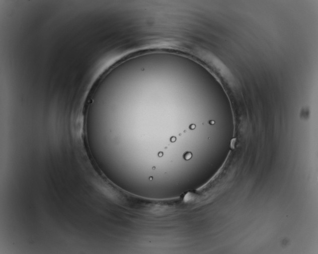 X0000103491324200809121705