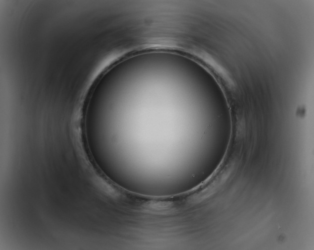 X0000103491325200809121705