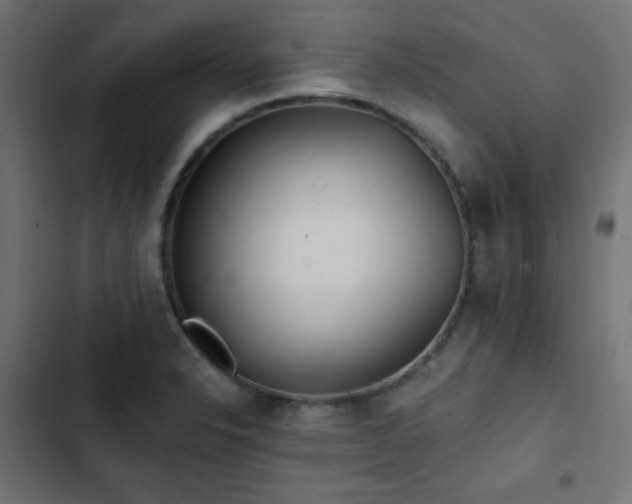 X0000103491326200809121705