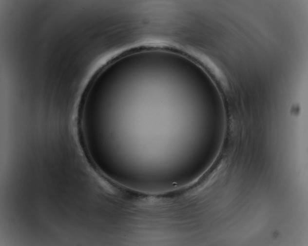 X0000103491327200809121705