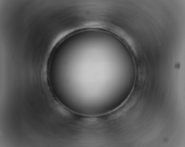 X0000103491328200809121705