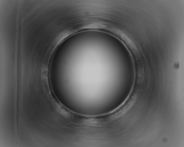 X0000103491329200809121705