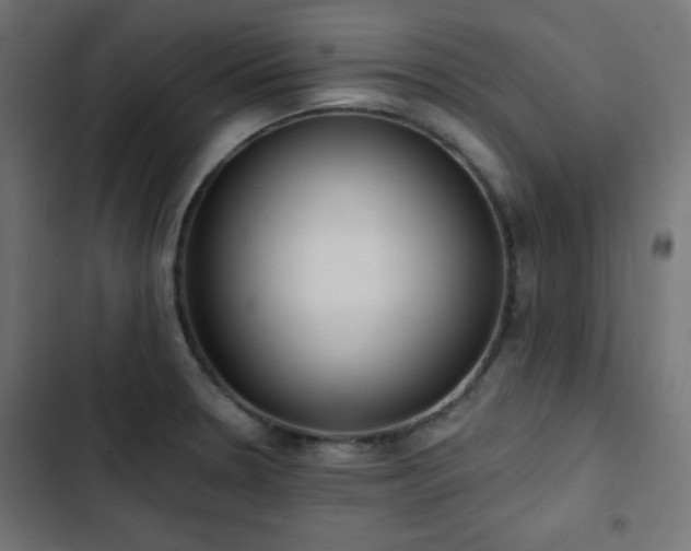 X0000103491330200809121705