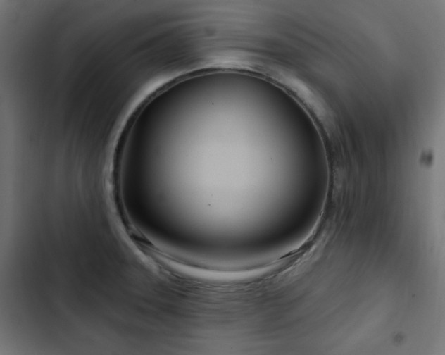 X0000103491331200809121705