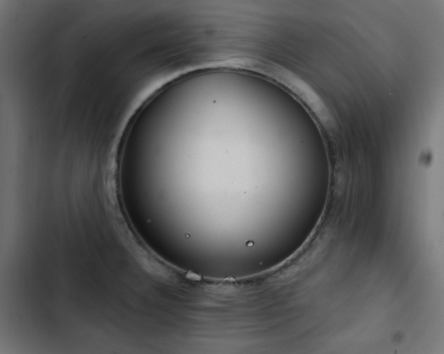 X0000103491332200809121705