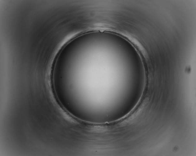 X0000103491333200809121705