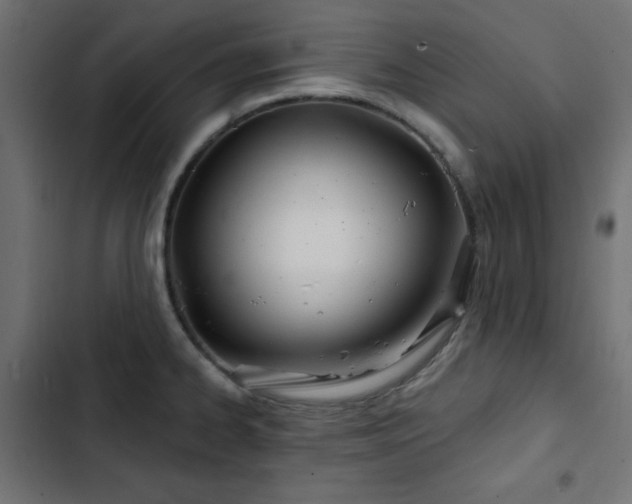 X0000103491334200809121705