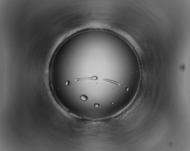 X0000103491335200809121705