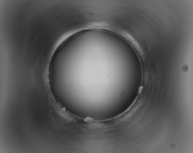 X0000103491336200809121705