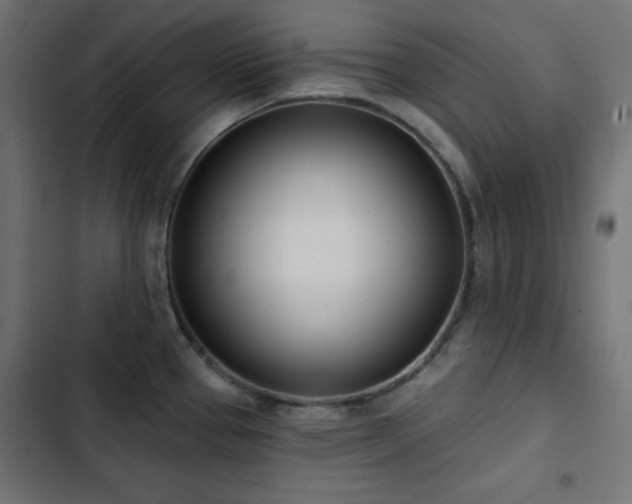 X0000103491337200809121705