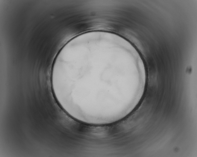 X0000103491338200809121705