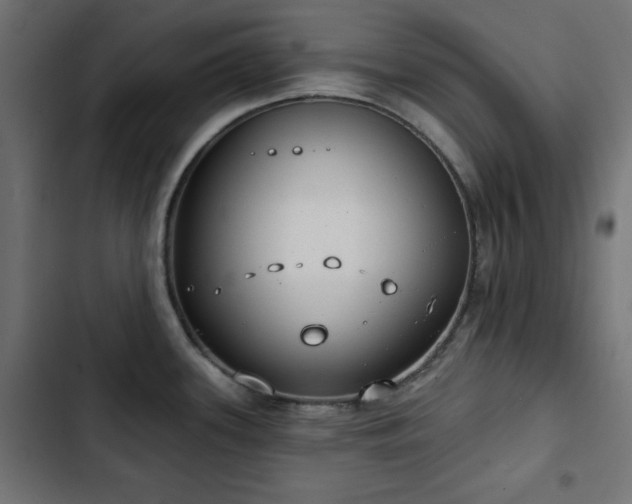 X0000103491339200809121705