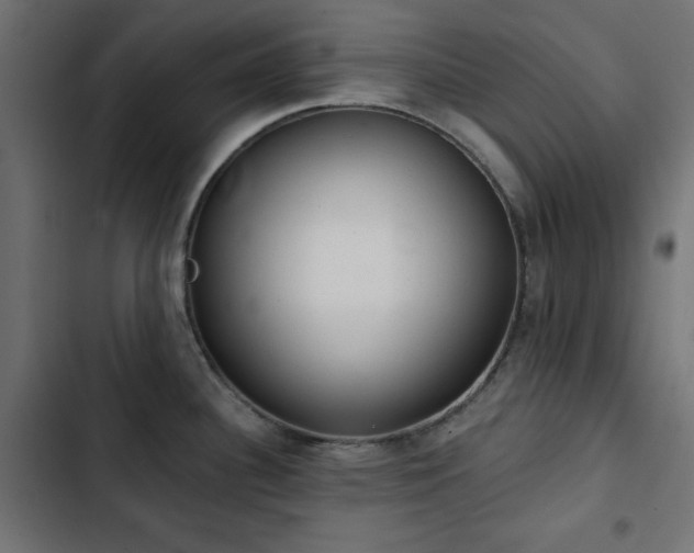 X0000103491340200809121705