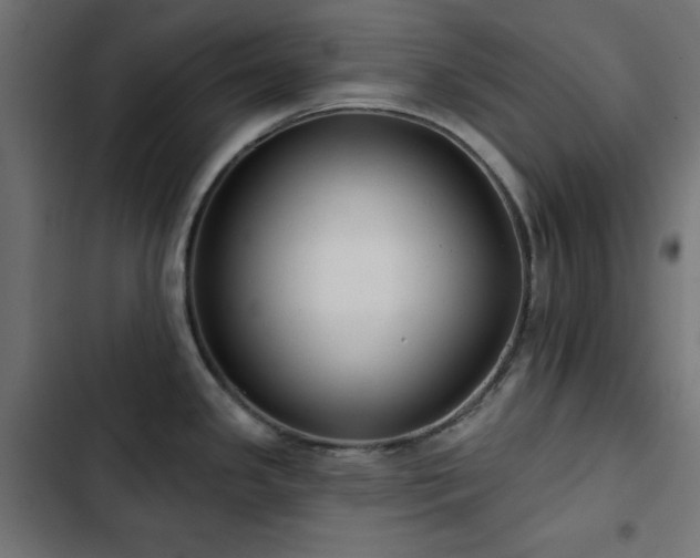 X0000103491341200809121705