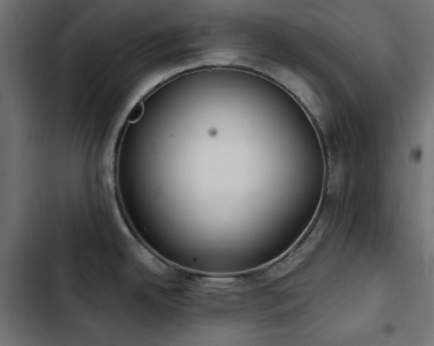 X0000103491342200809121705