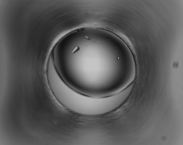 X0000103491344200809121705