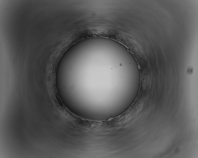 X0000103491345200809121704