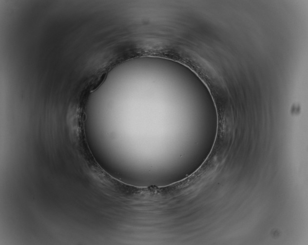 X0000103491346200809121704