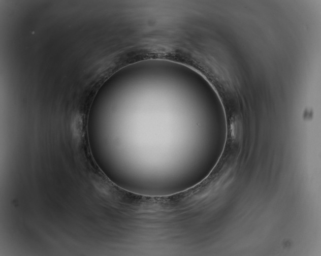 X0000103491347200809121704