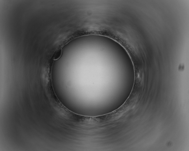 X0000103491348200809121704