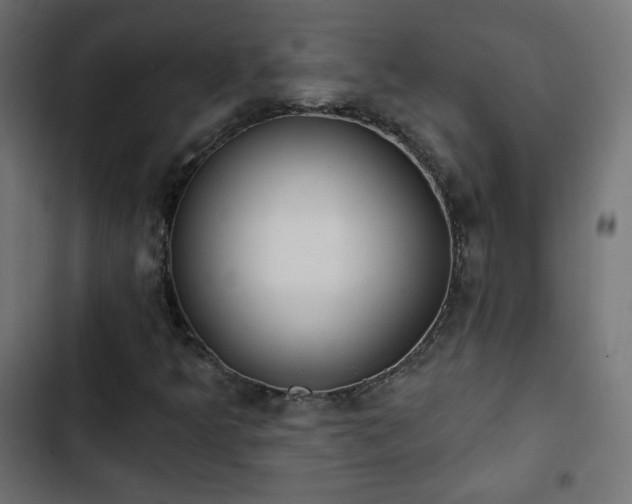 X0000103491349200809121704