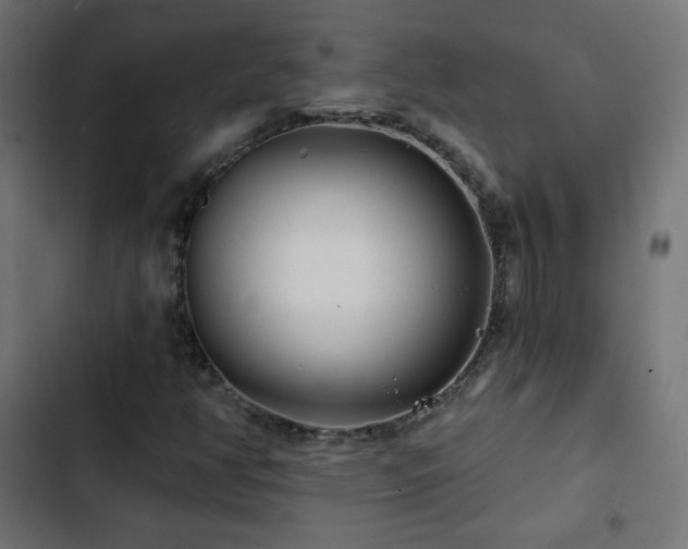 X0000103491350200809121704