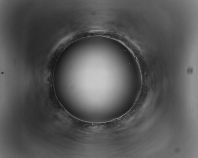 X0000103491351200809121704