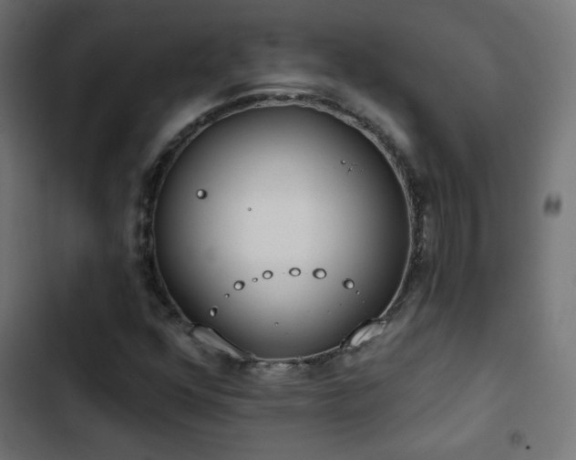 X0000103491352200809121704