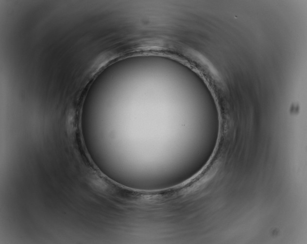 X0000103491353200809121704