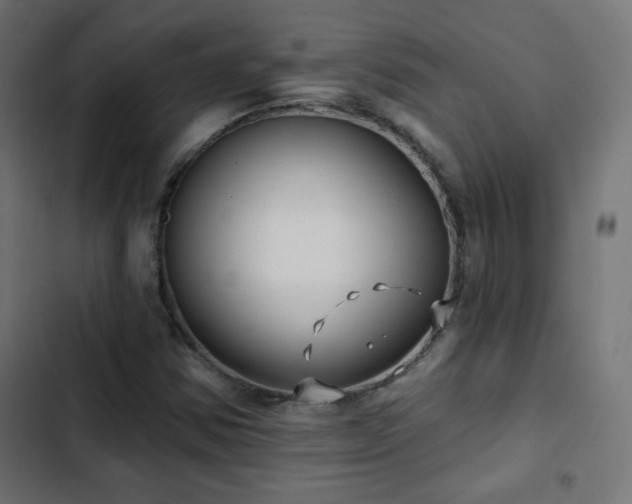 X0000103491354200809121704