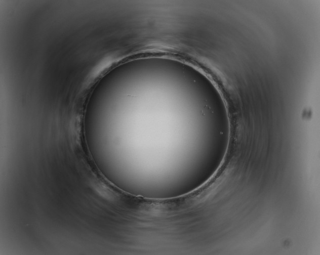 X0000103491355200809121704