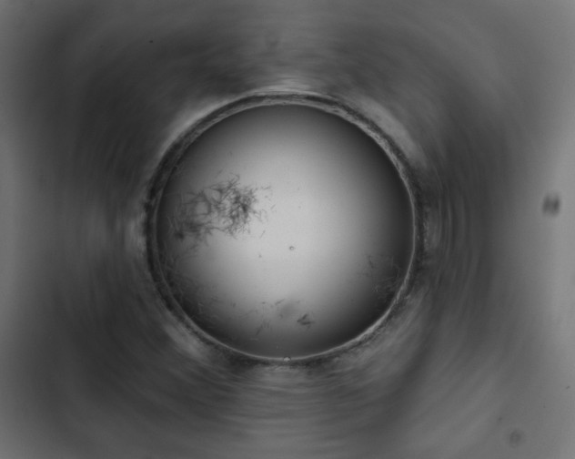 X0000103491356200809121704