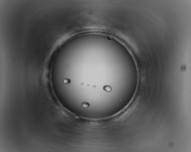 X0000103491357200809121704