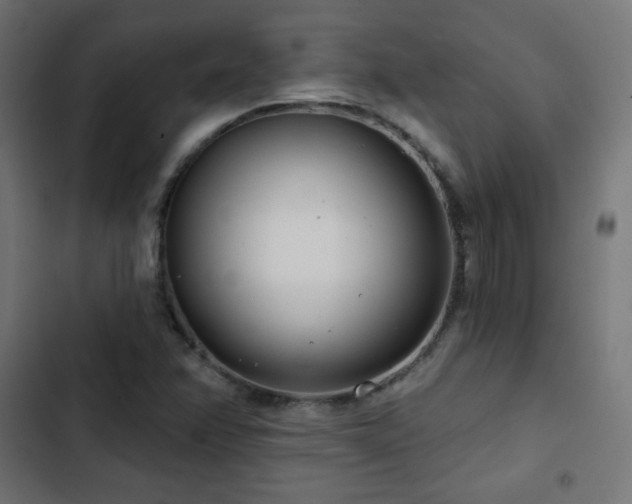 X0000103491358200809121704