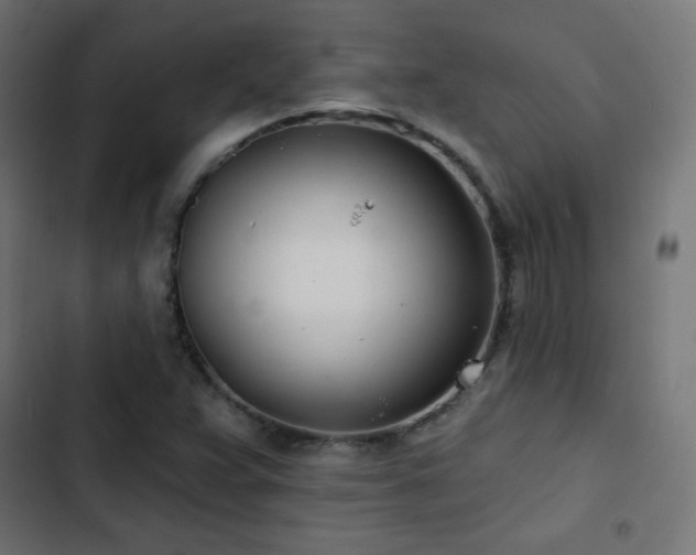 X0000103491359200809121704