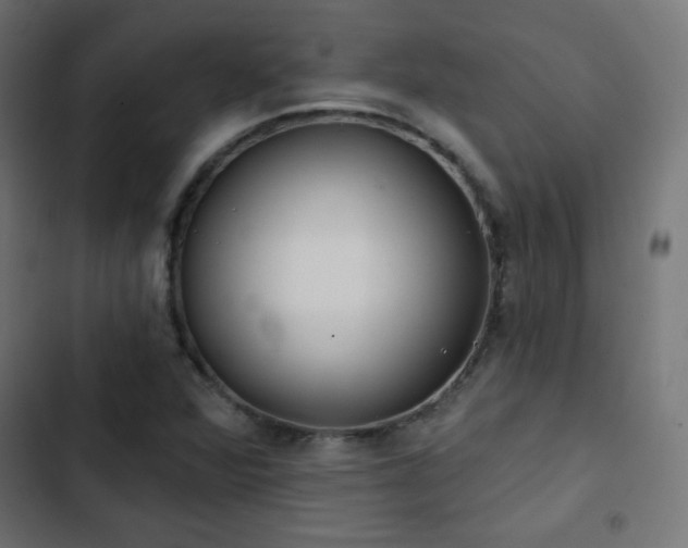 X0000103491360200809121704